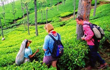 Kerala Tour Packages From Delhi | Kerala Tour Packages From Cochin
